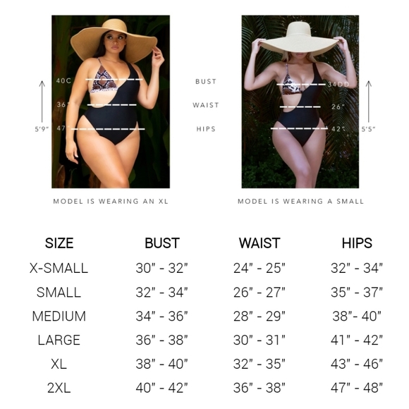 Matte Collection Leo Swimsuit - Picture 2 of 3